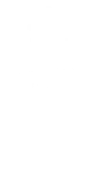 Latency Icon VSAT
